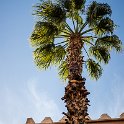 MAR MAR Marrakesh 2017JAN05 SaadianTombs 014 : 2016 - African Adventures, 2017, Africa, Date, January, Marrakesh, Marrakesh-Safi, Month, Morocco, Northern, Places, Saadian Tombs, Trips, Year